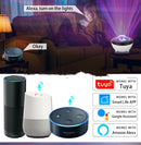 Smart Northern Lights Projection Light